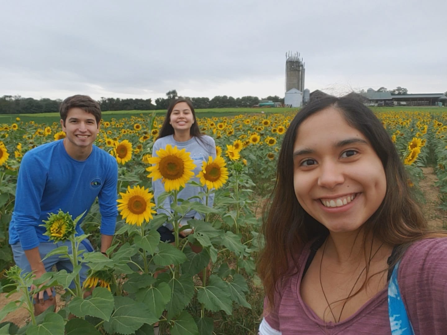 I SCREAM, YOU SCREAM, WE ALL SCREAM FOR BROOMS BLOOM ICE CREAM Vivian