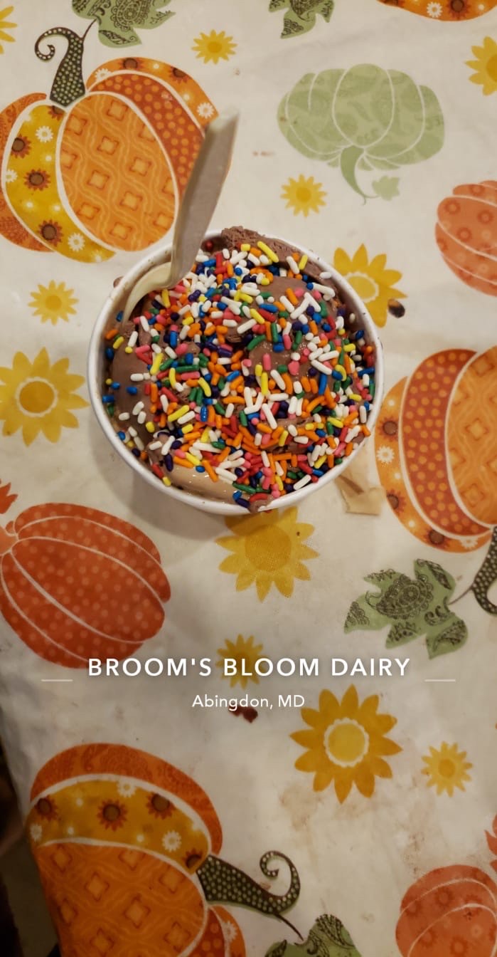 I SCREAM, YOU SCREAM, WE ALL SCREAM FOR BROOMS BLOOM ICE CREAM Vivian