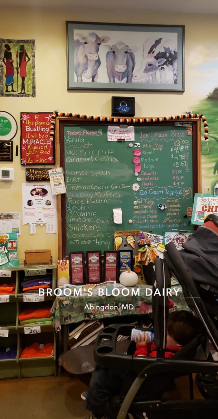 I SCREAM, YOU SCREAM, WE ALL SCREAM FOR BROOMS BLOOM ICE CREAM Vivian