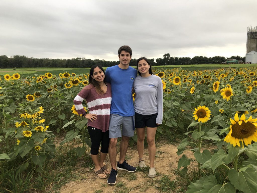 I SCREAM, YOU SCREAM, WE ALL SCREAM FOR BROOMS BLOOM ICE CREAM Vivian